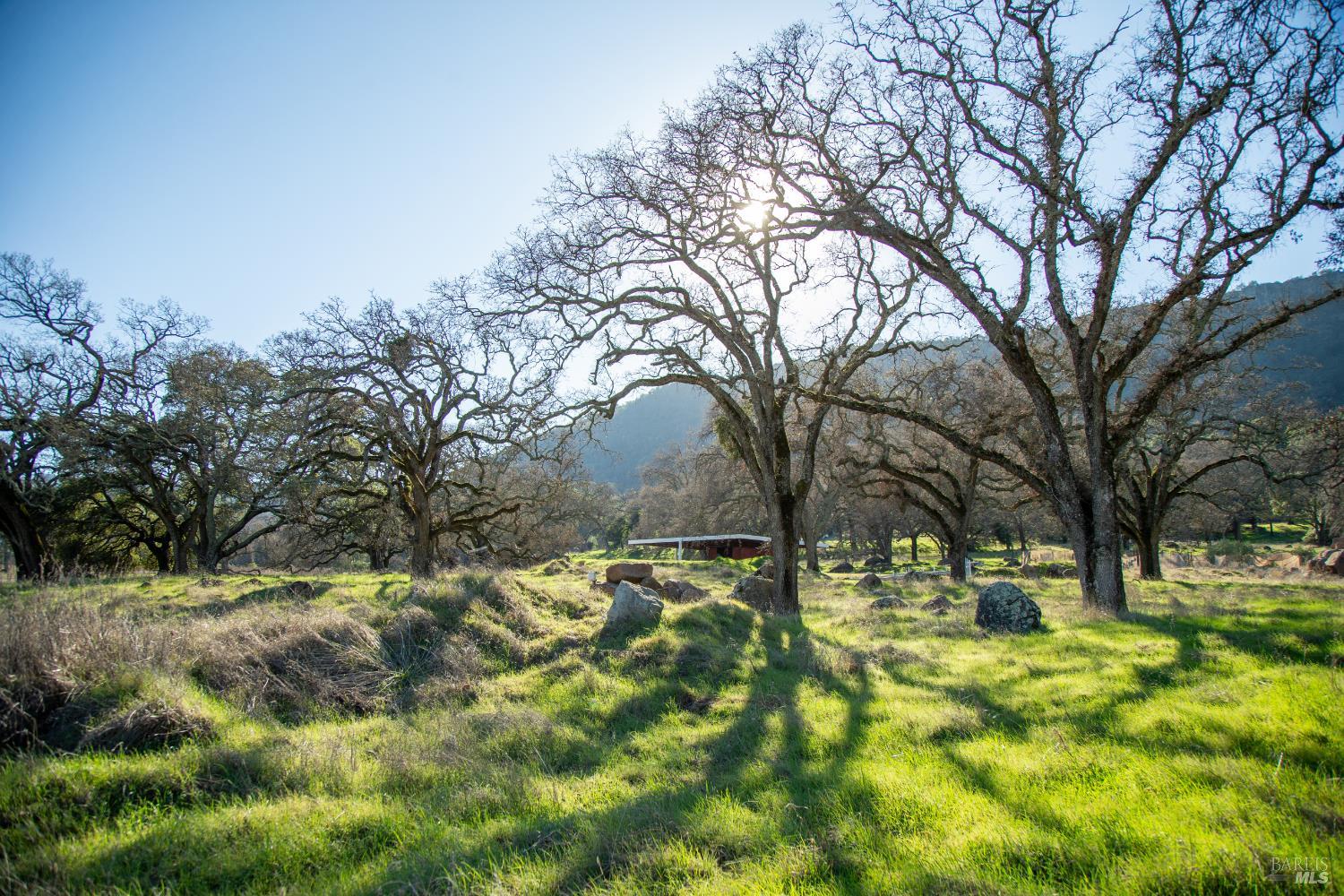 3576 Monticello Road Napa, CA 94558 - Photo 34 of 43