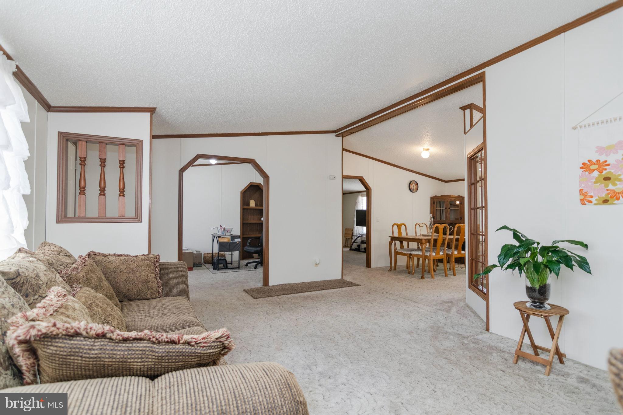 19341 Lahore Road Orange, VA 22960 - Photo 13 of 39 a living room with furniture and a potted plant