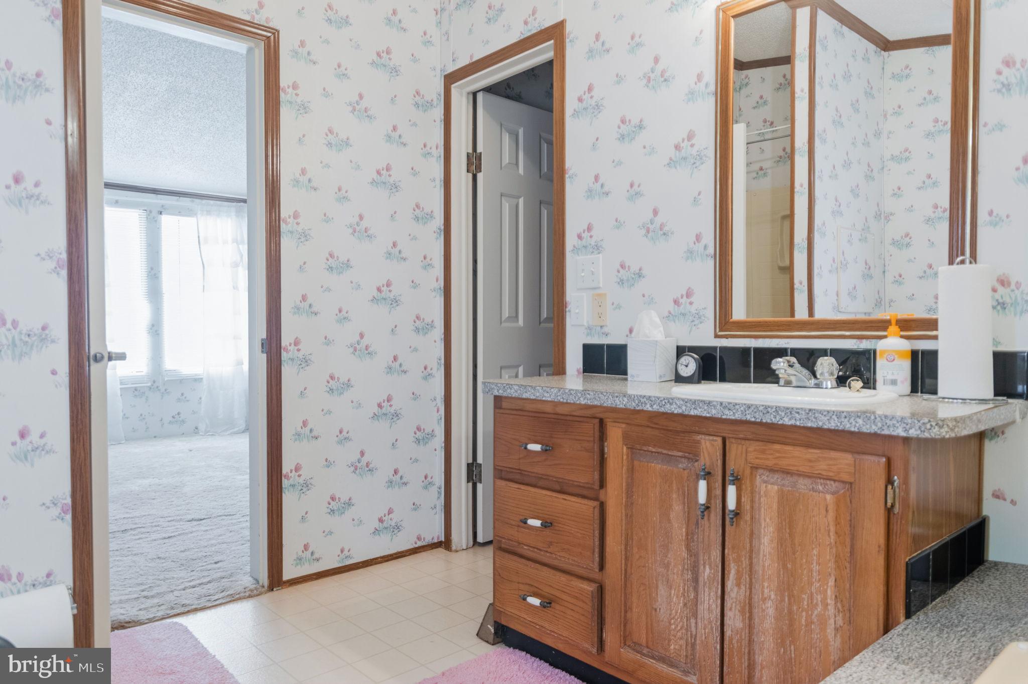 19341 Lahore Road Orange, VA 22960 - Photo 27 of 39 a bathroom with a sink and a mirror