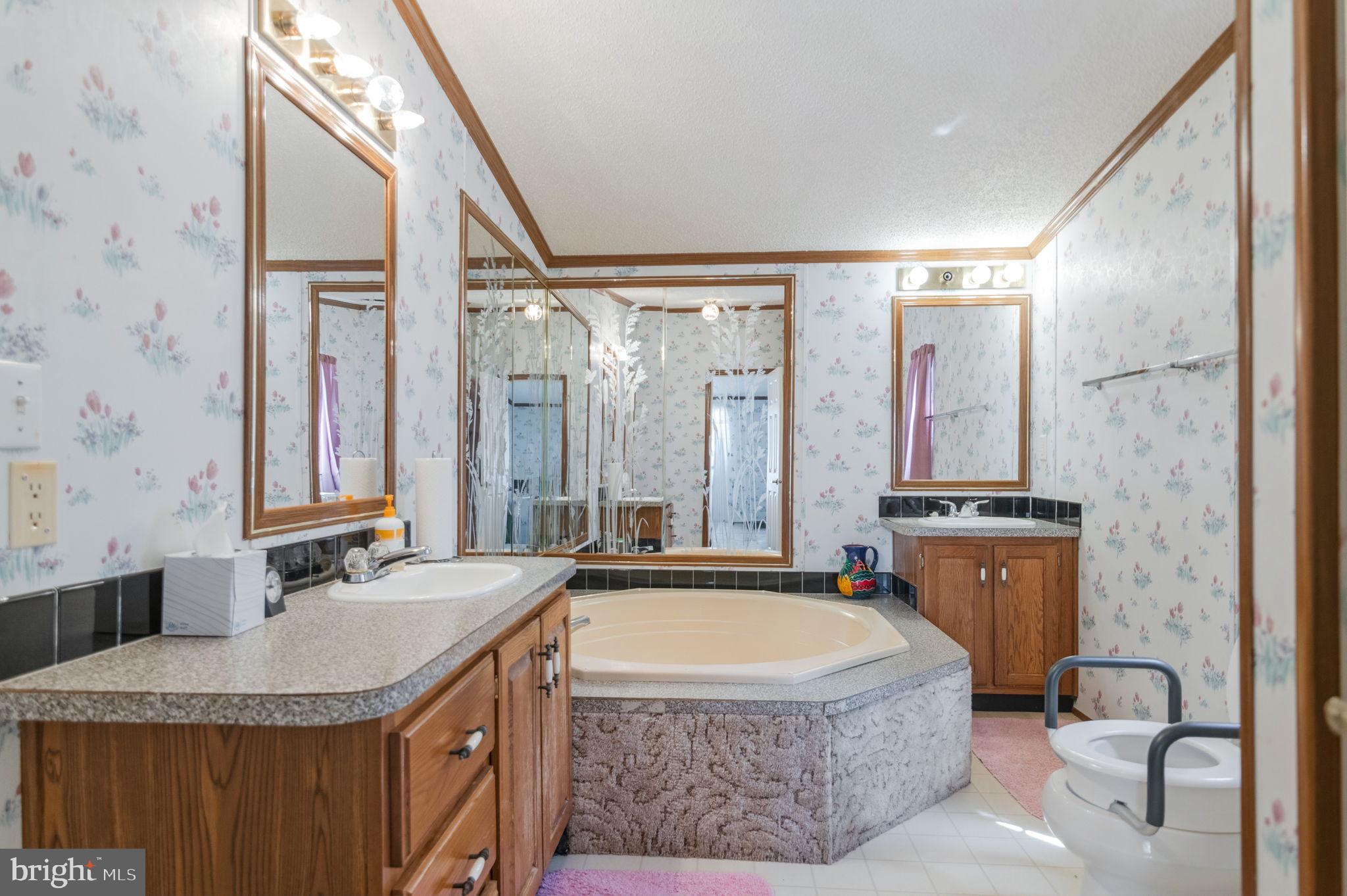19341 Lahore Road Orange, VA 22960 - Photo 28 of 39 a bathroom with a granite countertop tub sink and mirror