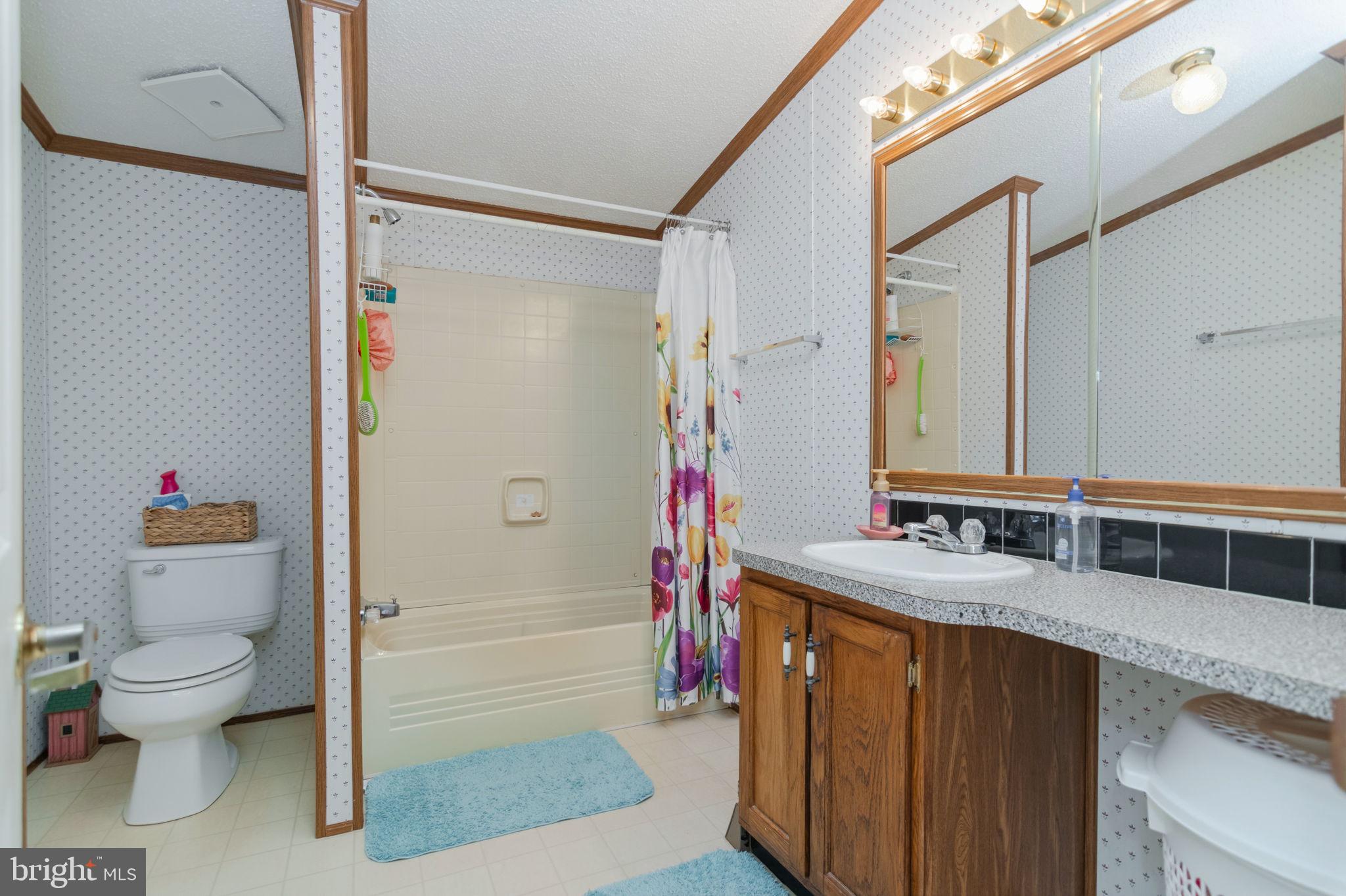 19341 Lahore Road Orange, VA 22960 - Photo 33 of 39 a bathroom with a granite countertop sink a toilet and a mirror