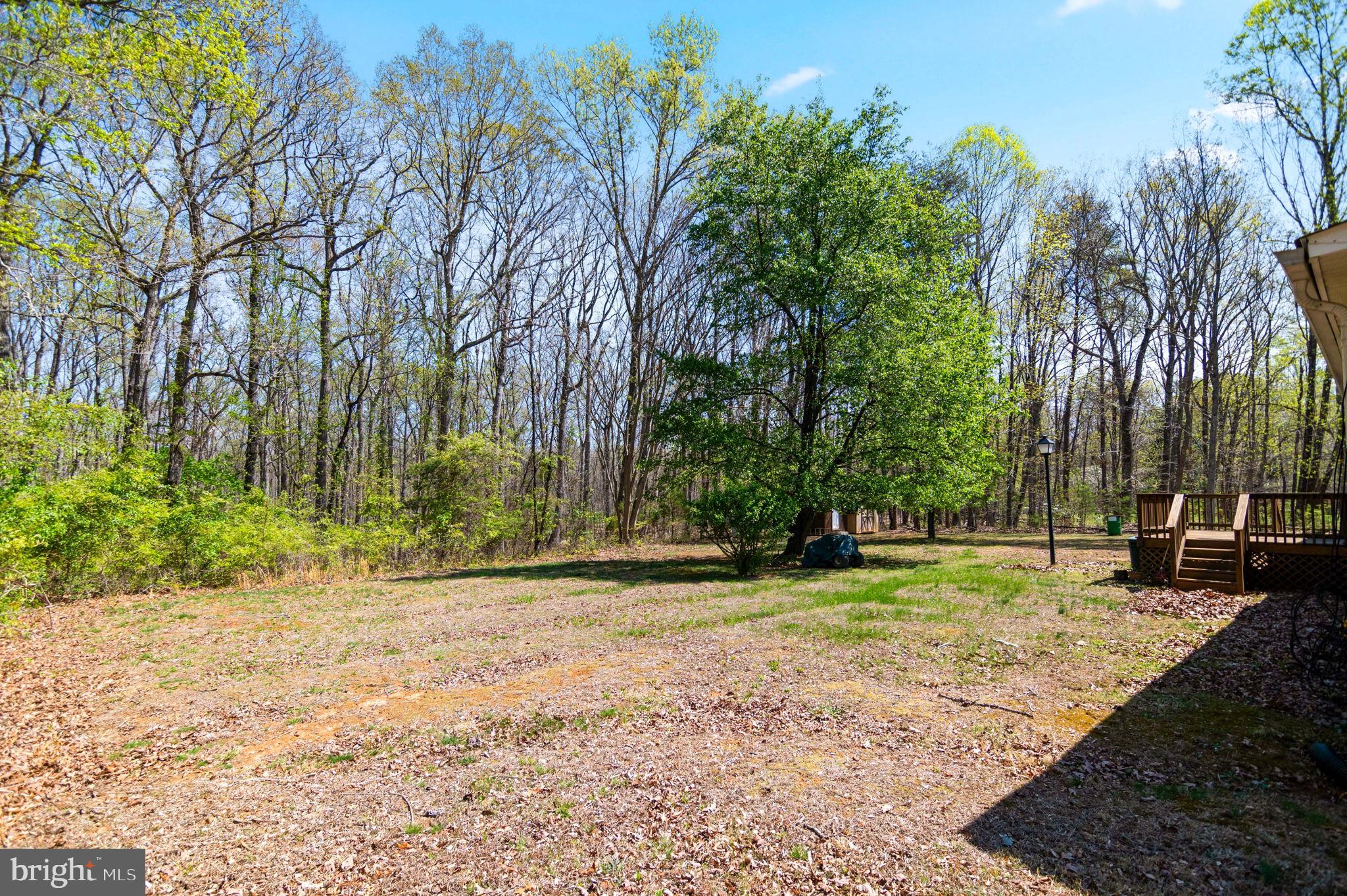19341 Lahore Road Orange, VA 22960 - Photo 34 of 39 a view of a park with tree s