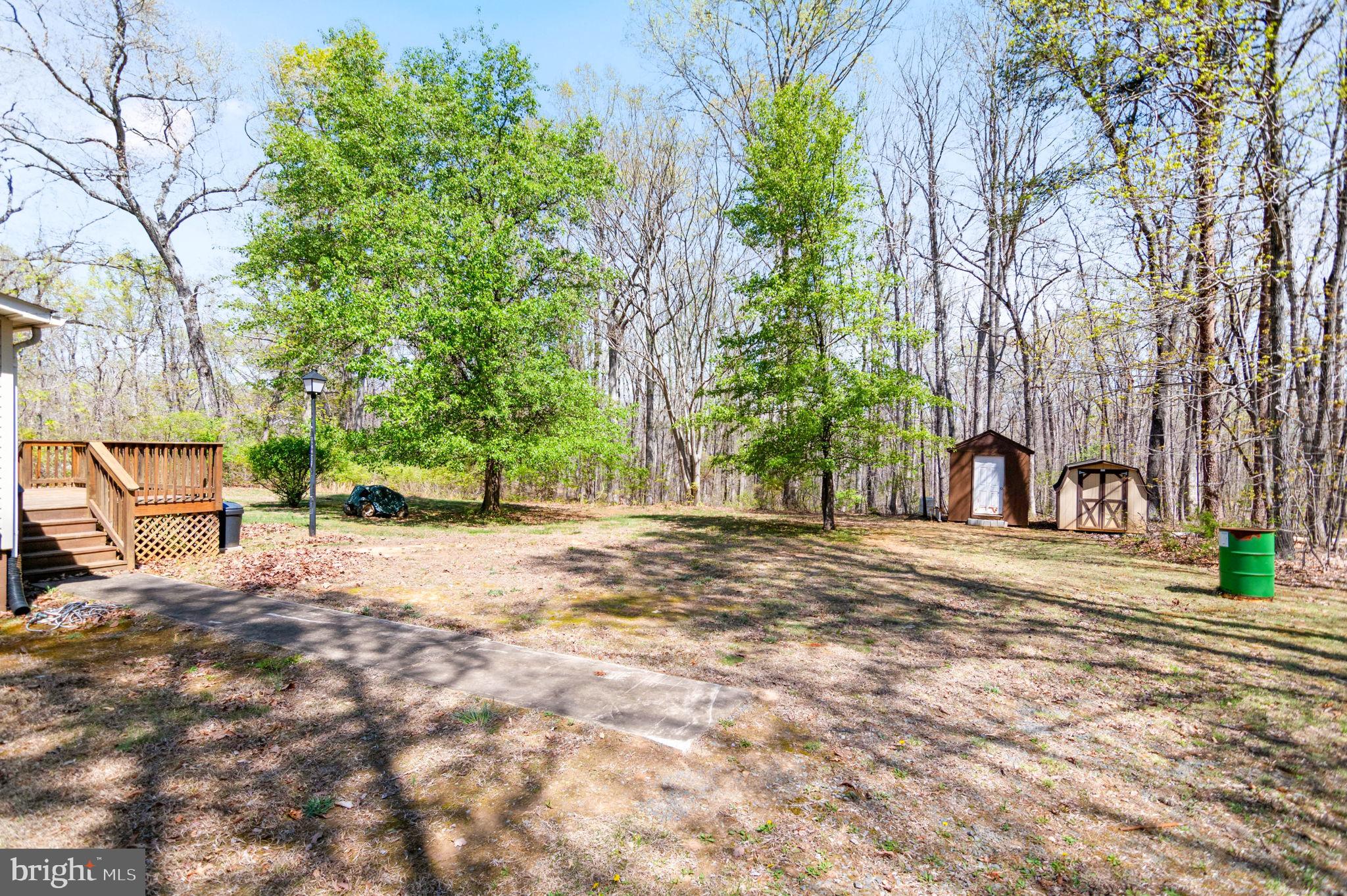 19341 Lahore Road Orange, VA 22960 - Photo 35 of 39 a view of a yard with plants and trees