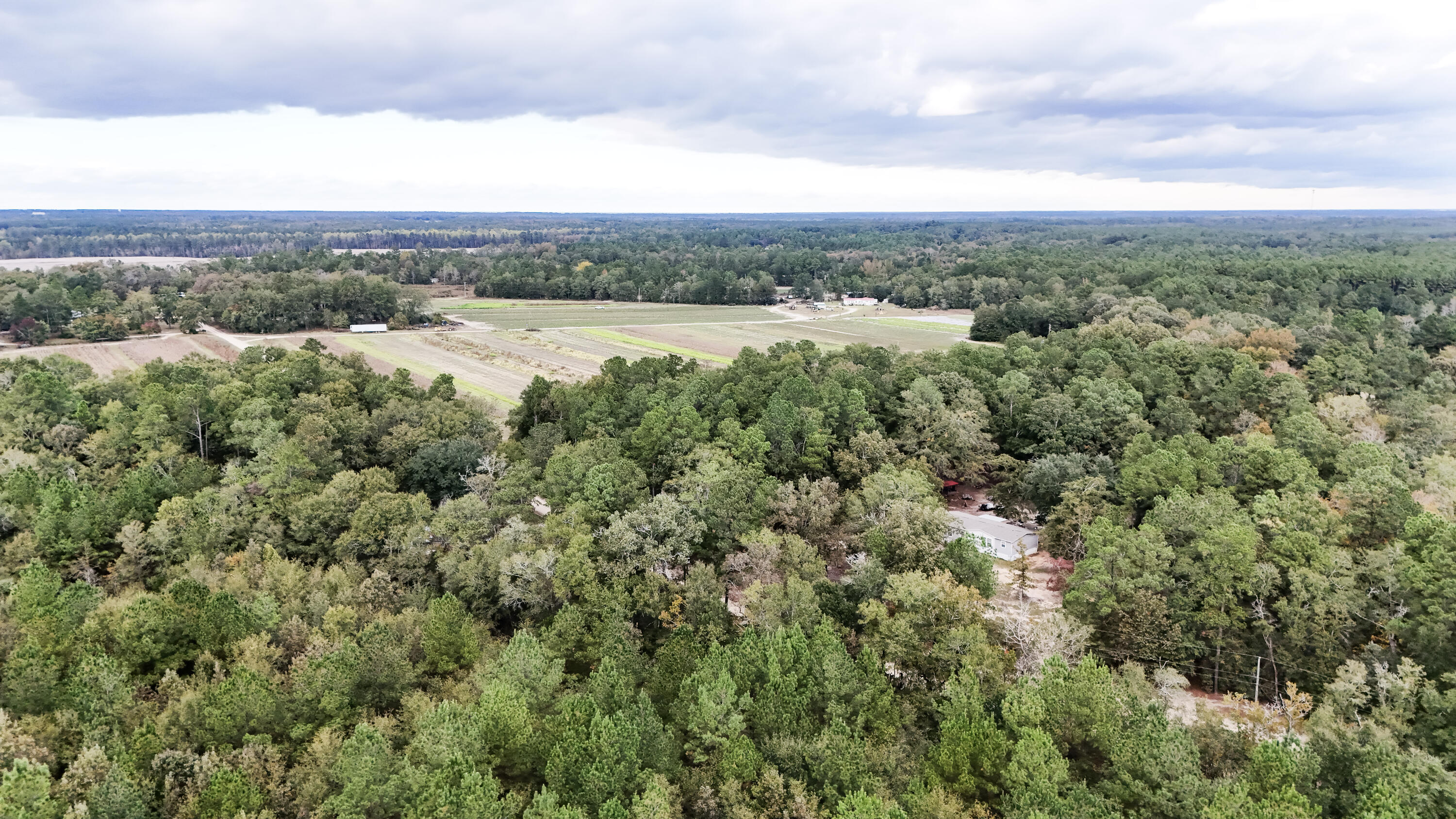 0 Chavis Road Blackville, SC 29817 - Photo 8 of 22 24-DJI_20251031045629_0248_D