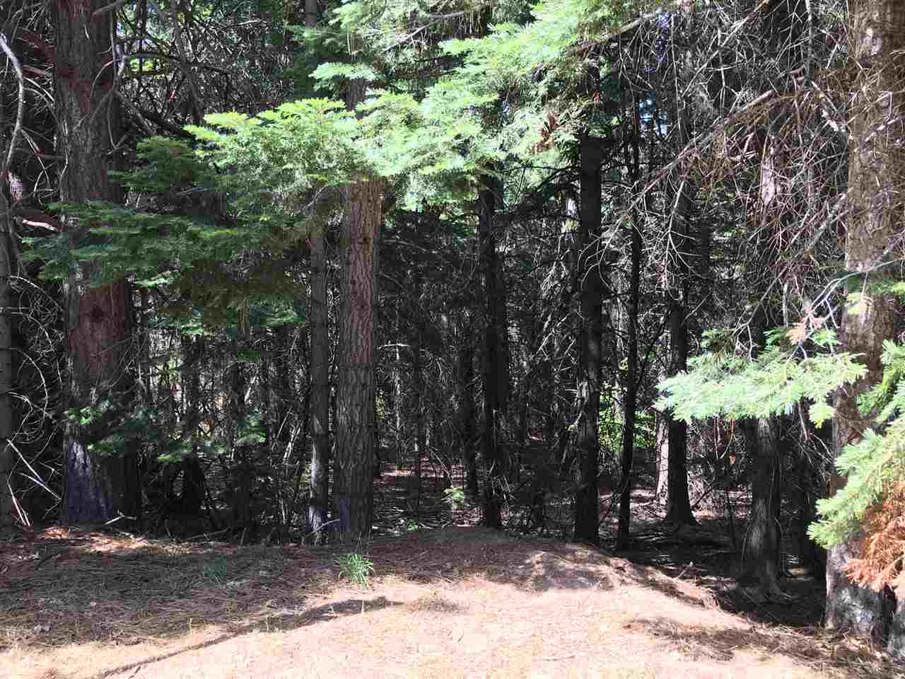 Lot 29-3 Oak Ridge Road Weed, CA 96094 - Photo 1 of 5 Gallery Image 1