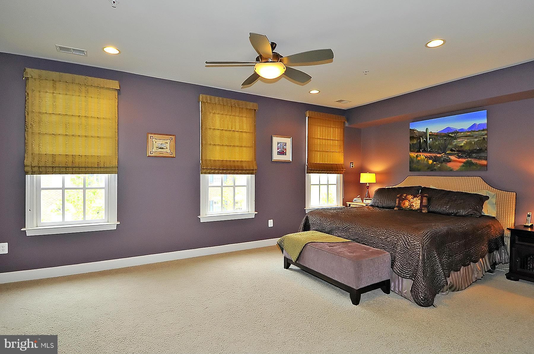 7677 Midtown Road Fulton, MD 20759 - Photo 18 of 30 Owner's Suite Filled with Natural Light!