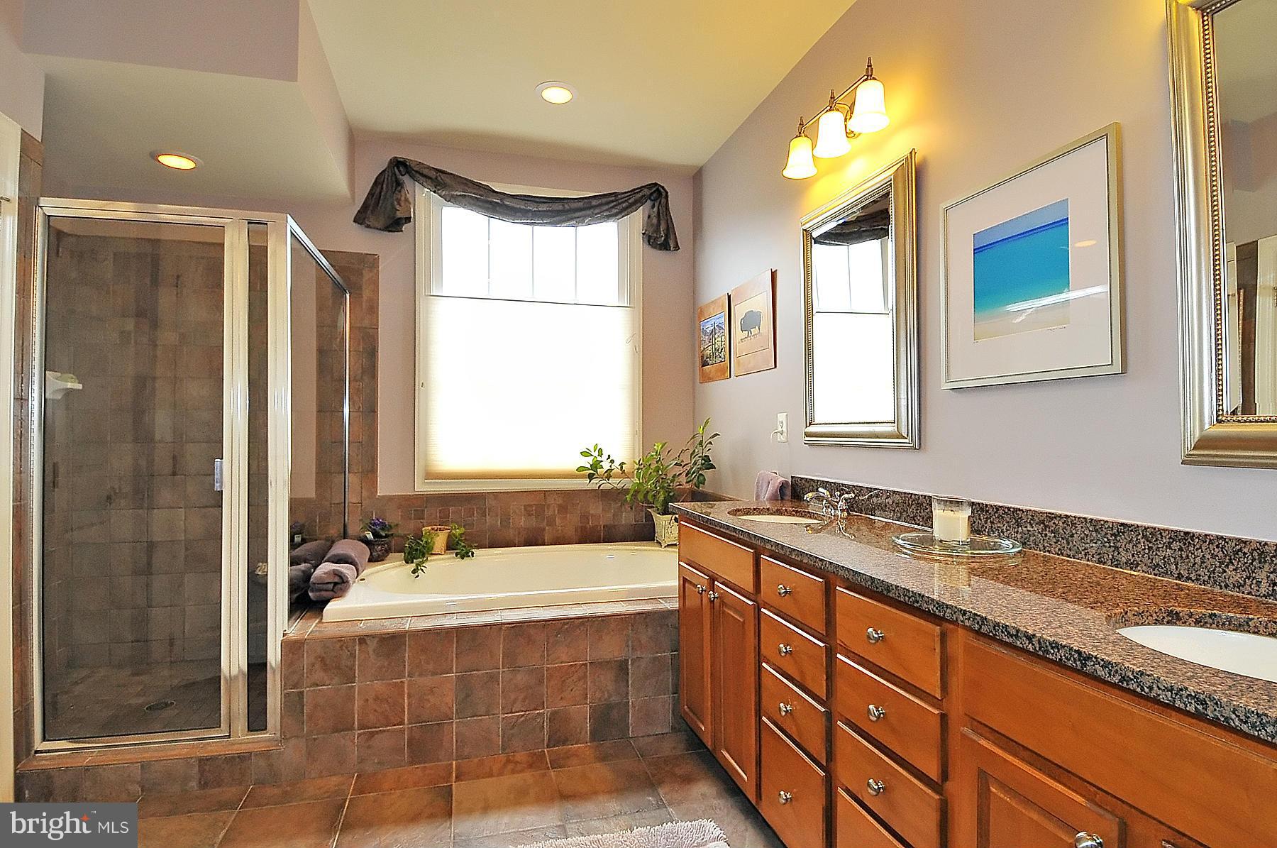 7677 Midtown Road Fulton, MD 20759 - Photo 19 of 30 Upgraded Owner's Bathroom