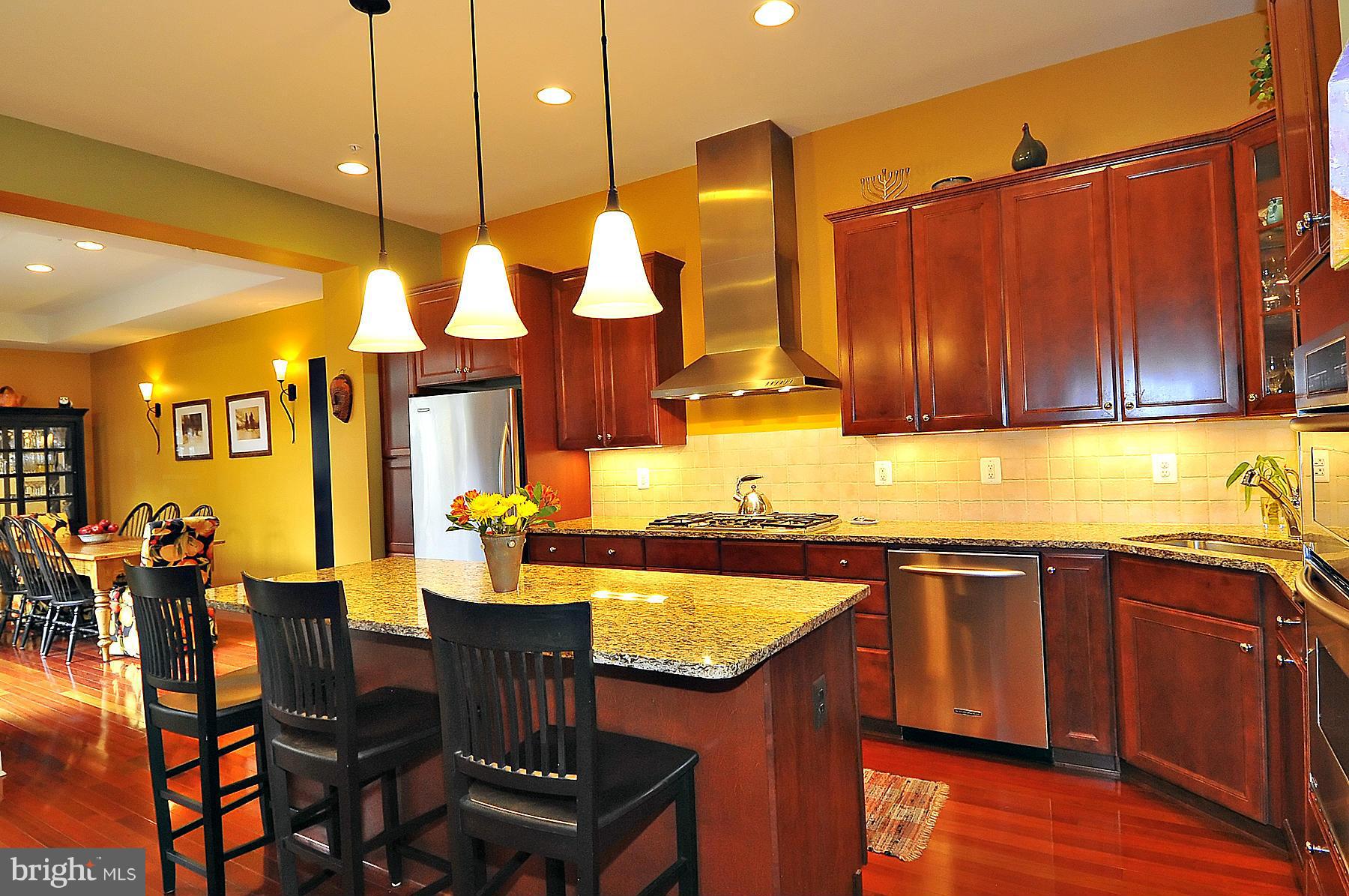 7677 Midtown Road Fulton, MD 20759 - Photo 9 of 30 Beautiful Custom Kitchen