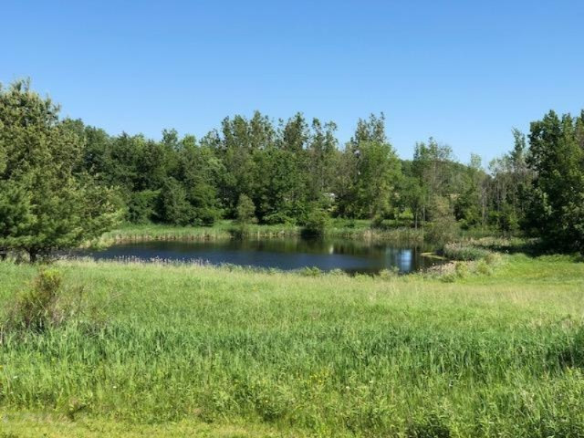 9 9 Mile Road Reed City, MI 49677 - Photo 1 of 9 20180611190557142681000000-o