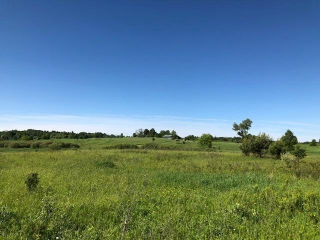 9 9 Mile Road Reed City, MI 49677 - Photo 2 of 9 20180611190554276684000000-o