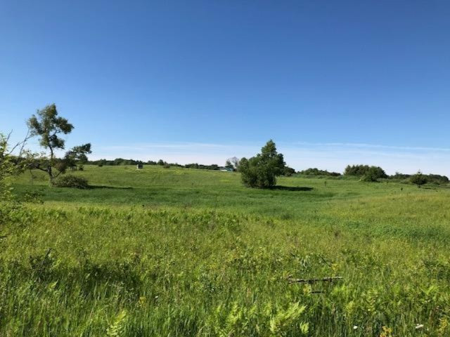 9 9 Mile Road Reed City, MI 49677 - Photo 3 of 9 20180611190555643778000000-o