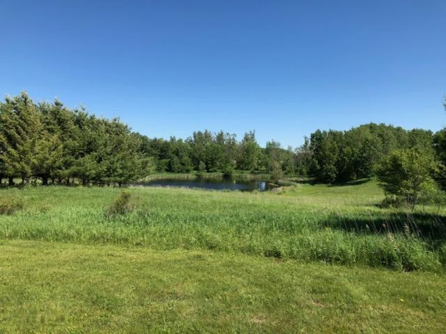 9 9 Mile Road Reed City, MI 49677 - Photo 4 of 9 20180611190558045535000000-o