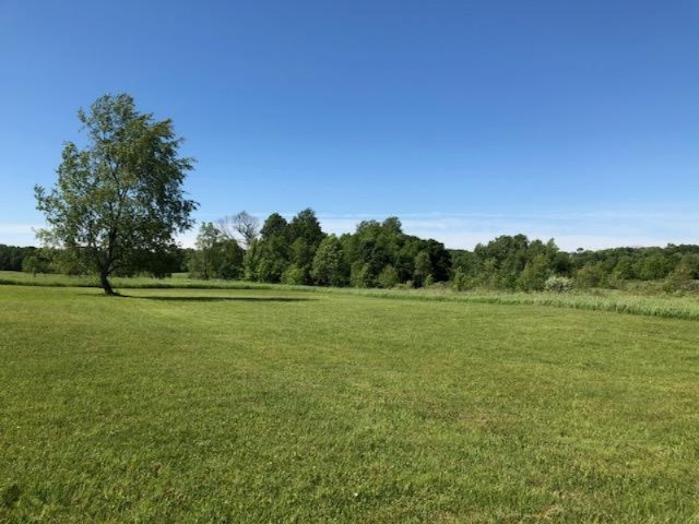 9 9 Mile Road Reed City, MI 49677 - Photo 8 of 9 20180611190604614818000000-o