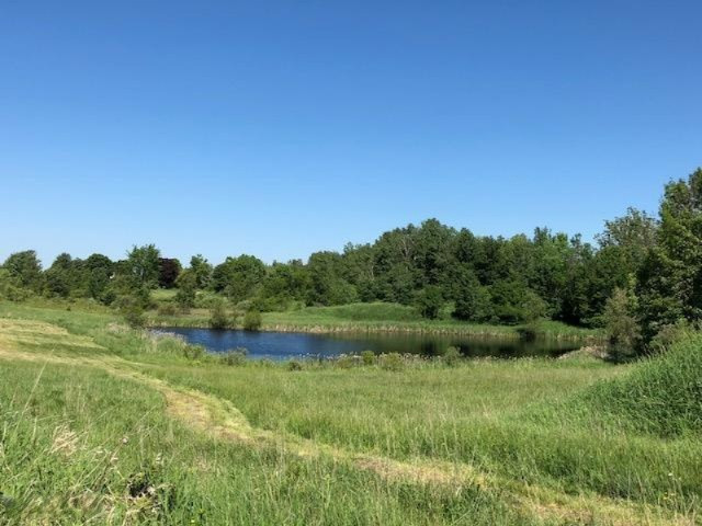 9 9 Mile Road Reed City, MI 49677 - Photo 9 of 9 20180611190607405571000000-o