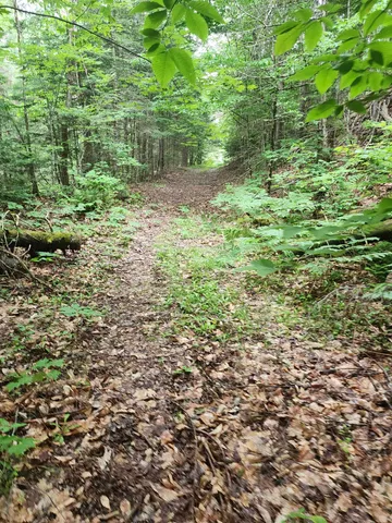 $499,000 | 1602 East Haven Road, Brighton, VT 05846