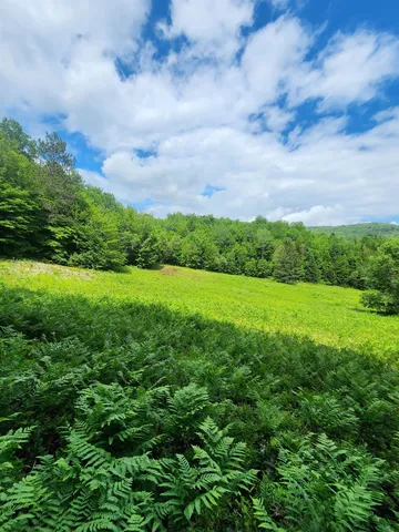 $499,000 | 1602 East Haven Road, Brighton, VT 05846