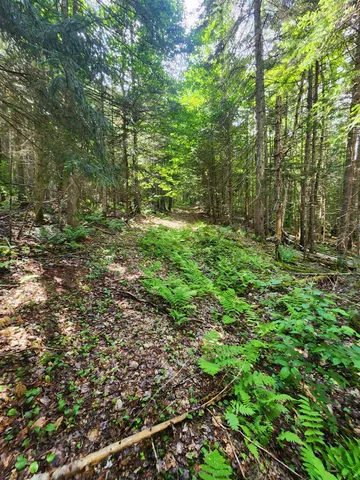 $499,000 | 1602 East Haven Road, Brighton, VT 05846