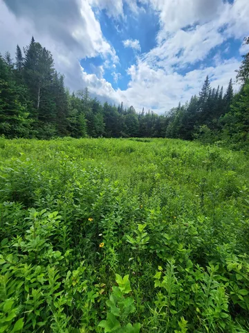 $499,000 | 1602 East Haven Road, Brighton, VT 05846