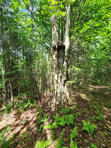 $499,000 | 1602 East Haven Road, Brighton, VT 05846