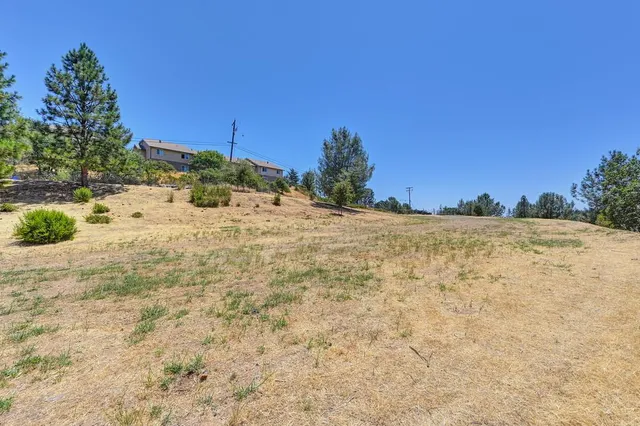 a view of a dry yard with a tree