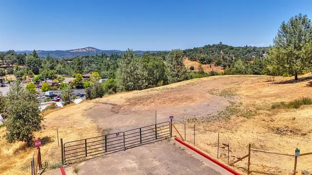 a view of a dry yard