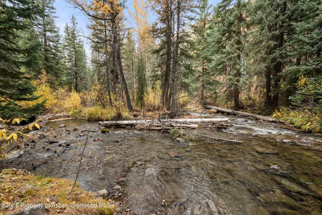 a view of a backyard with trees
