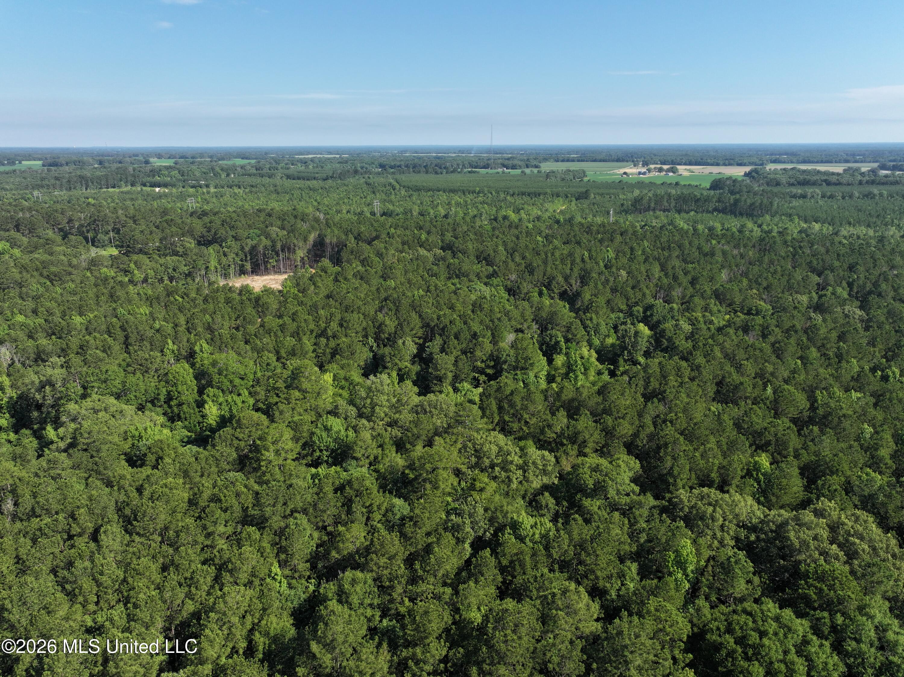 J C Prestage Road Pelahatchie, MS 39145 - Photo 10 of 24 0A83600E-6585-45AA-A003-A697E60E561C