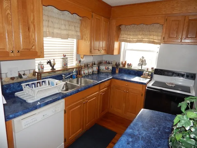 $1,300 | 320 Shortys Hill Drive, Salem, SC 29676