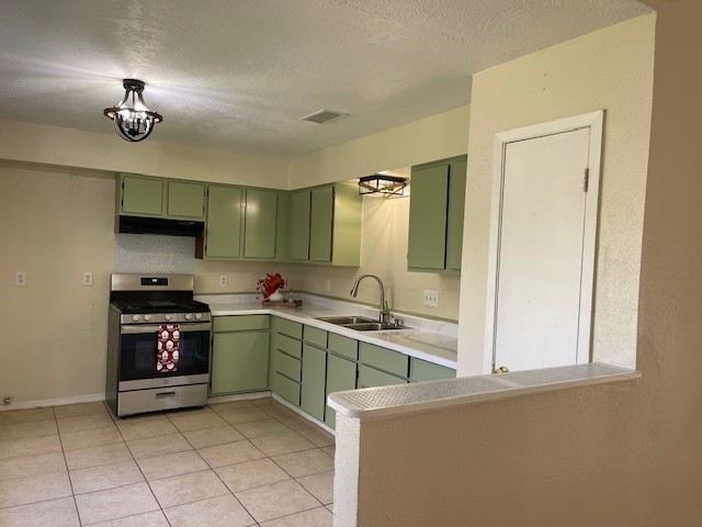 12019 Kings Grove Drive Houston, TX 77044 - Photo 5 of 50 a kitchen with a stove and a sink