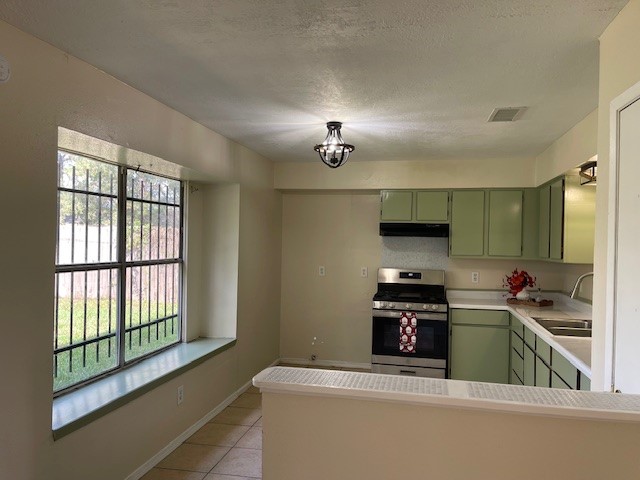 12019 Kings Grove Drive Houston, TX 77044 - Photo 6 of 50 a kitchen that has a sink and a stove