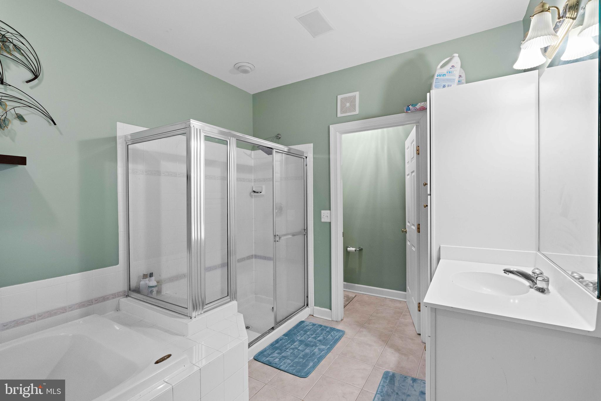 12461 Rose Path Circle Fairfax, VA 22033 - Photo 28 of 43 a bathroom with a sink a mirror and a shower