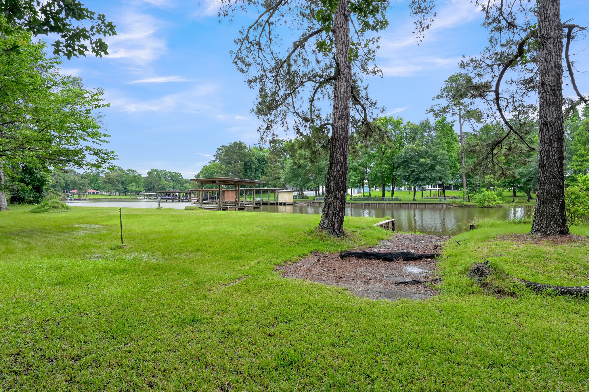 254 Sharp Lane Trinity, TX 75862 - Photo 33 of 36 a view of a park with large trees