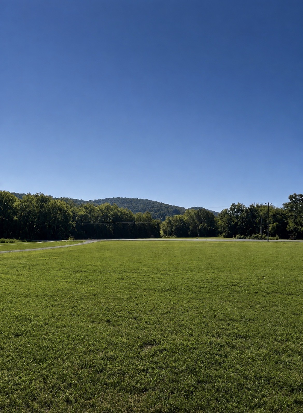 6595 Greenvale Road Watertown, TN 37184 - Photo 10 of 44 Gallery Image 10