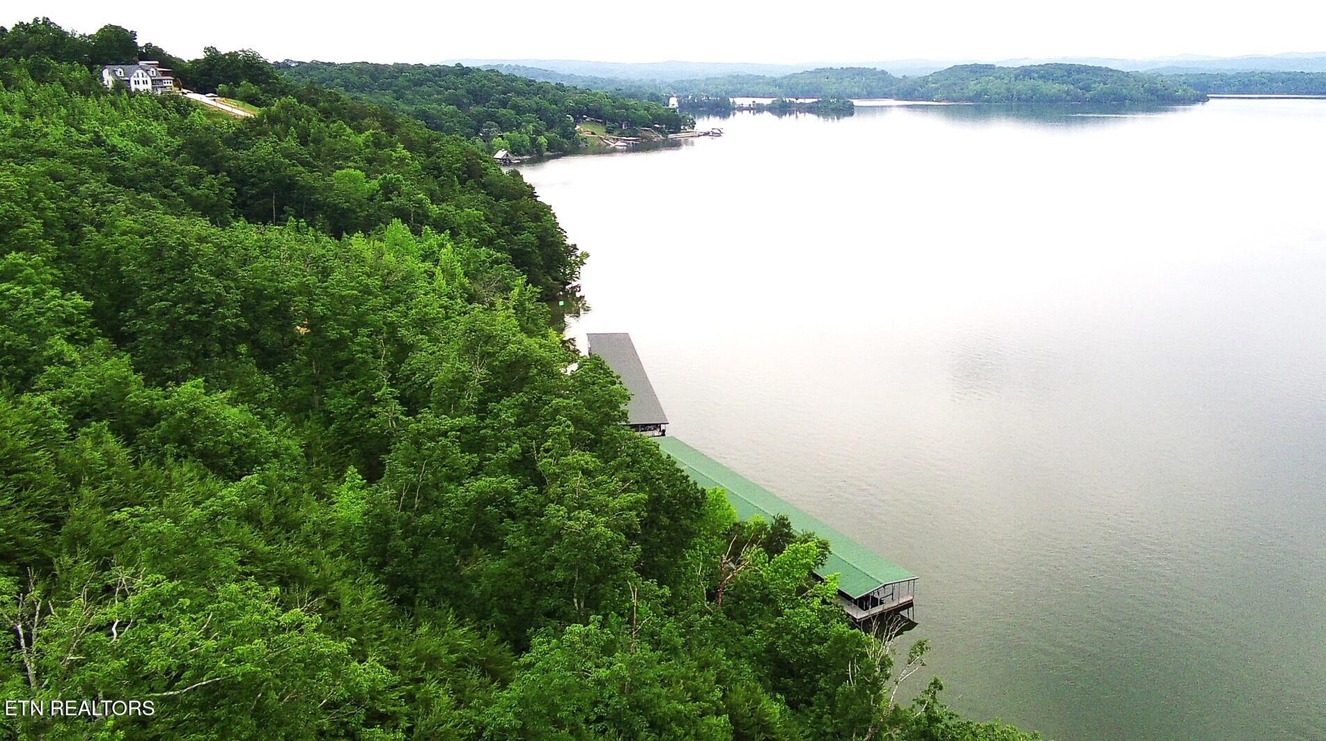 295 River Run Trail Spring City, TN 37381 - Photo 10 of 26