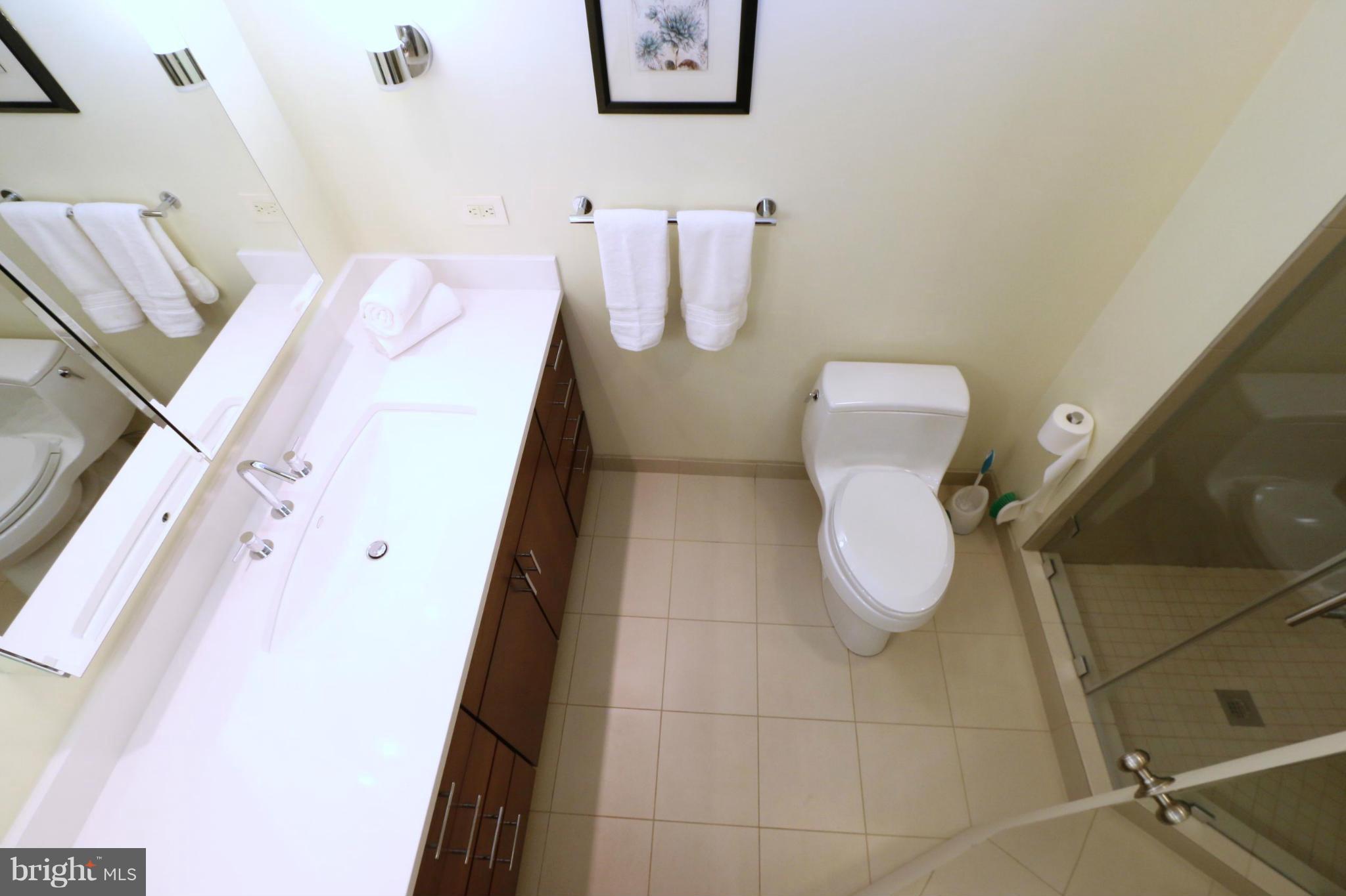 11235 South Shore Road Reston, VA 20190 - Photo 14 of 27 Bath (Master)