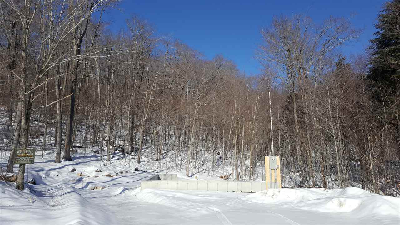 23 Beechwoods At Intervale Road Intervale, NH 03845 - Photo 6 of 9