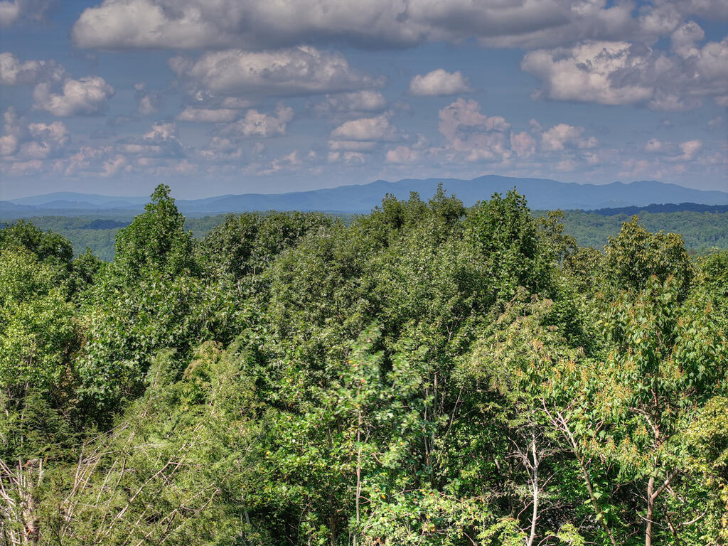 8 North Face Drive Blue Ridge, GA 30513 - Photo 17 of 67 Gallery Image 17