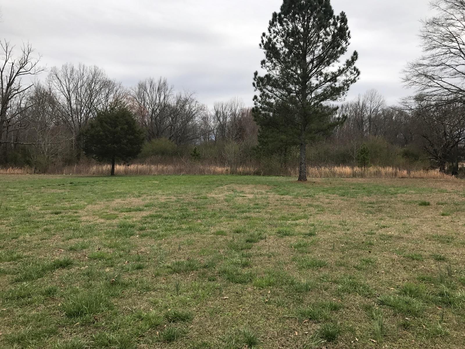 115 East Prospect Road Fayetteville, TN 37334 - Photo 6 of 8 a large green field with lots of bushes