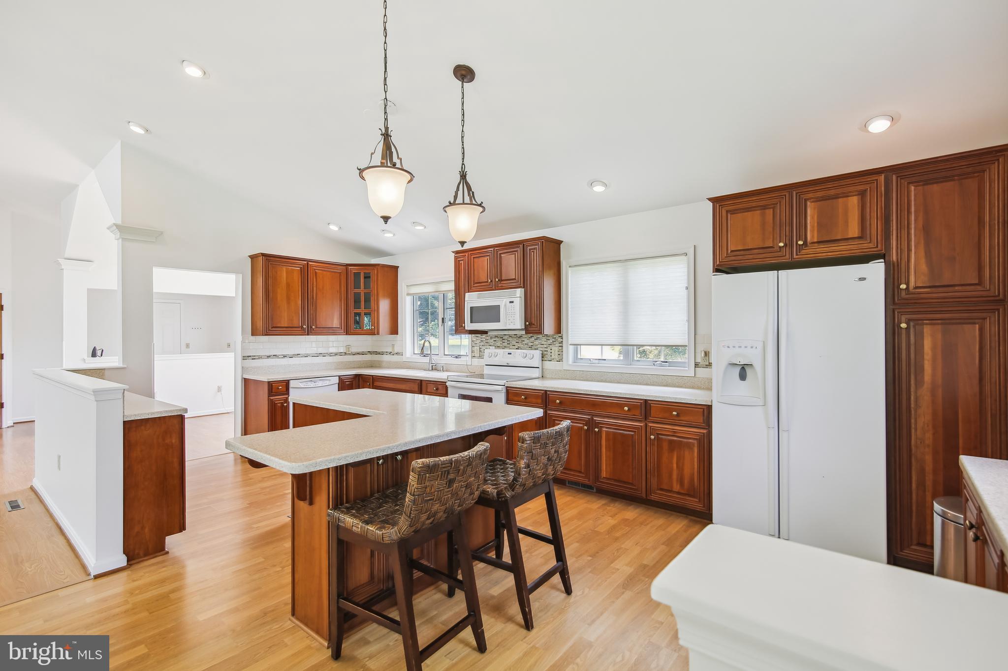100 Barren Ridge Court Chester, MD 21619 - Photo 7 of 41 Kitchen