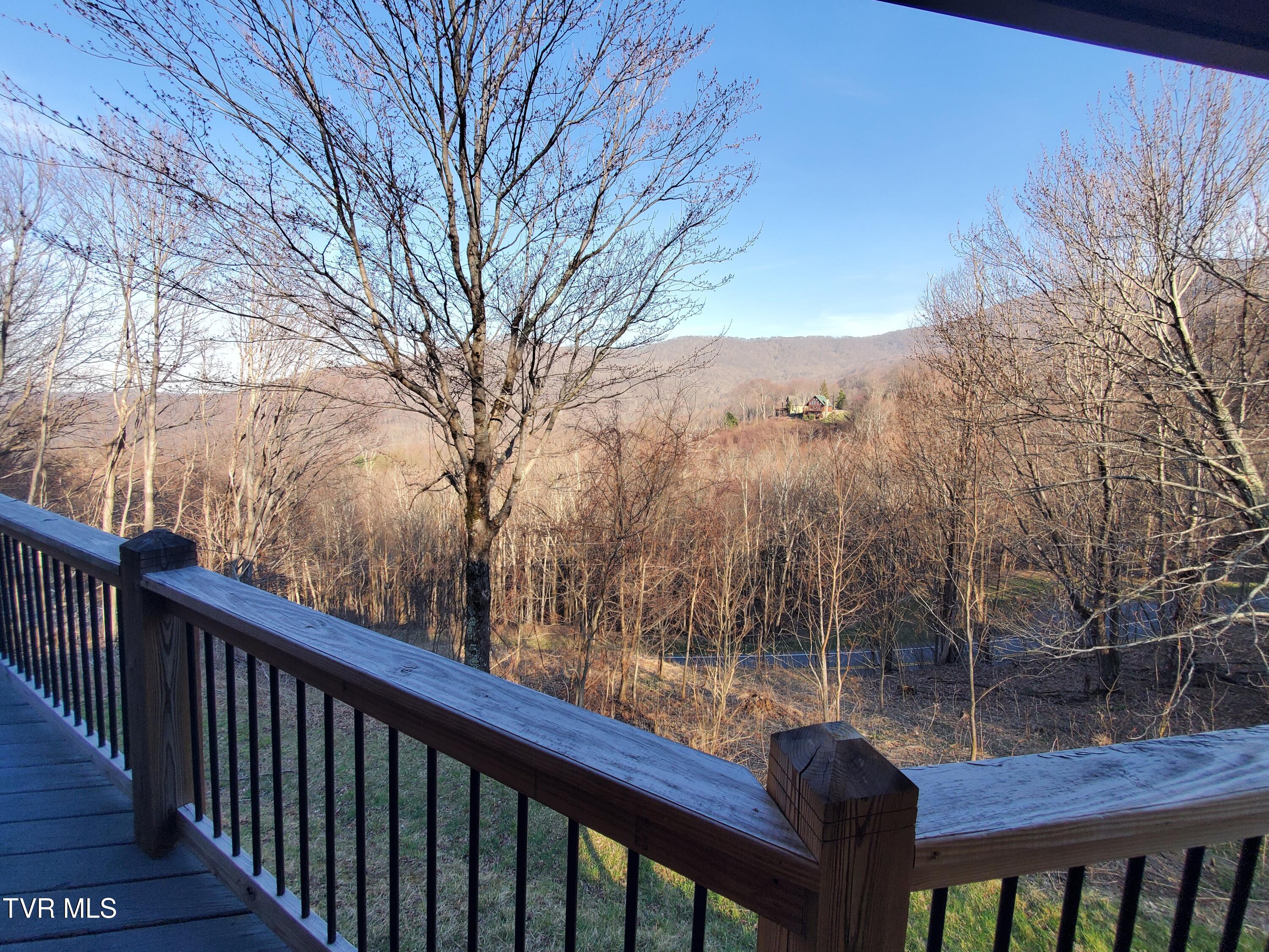 108 Roan Vw Road Roan Mountain, TN 37687 - Photo 22 of 35 20260329_174721