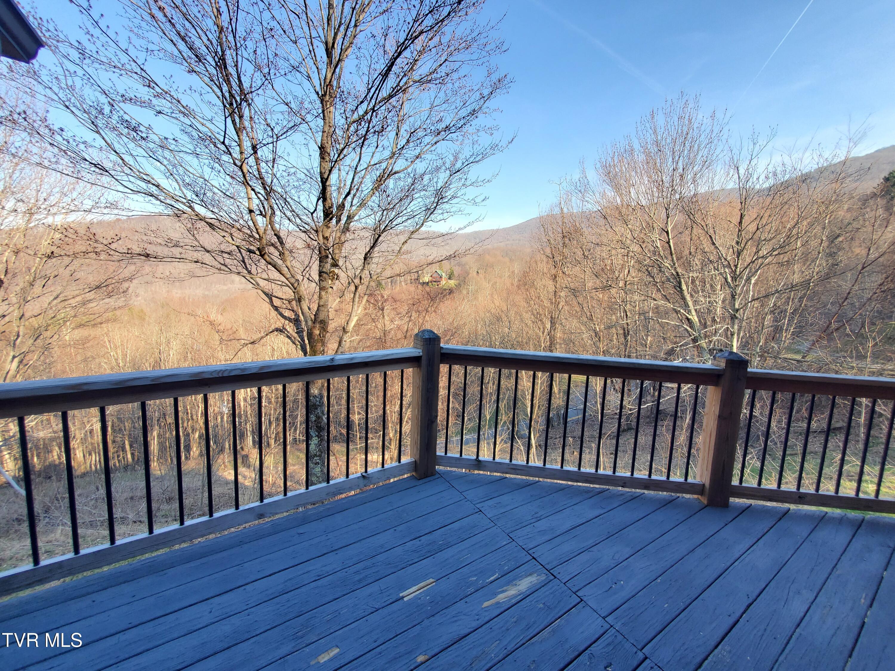 108 Roan Vw Road Roan Mountain, TN 37687 - Photo 23 of 35 20260329_174740