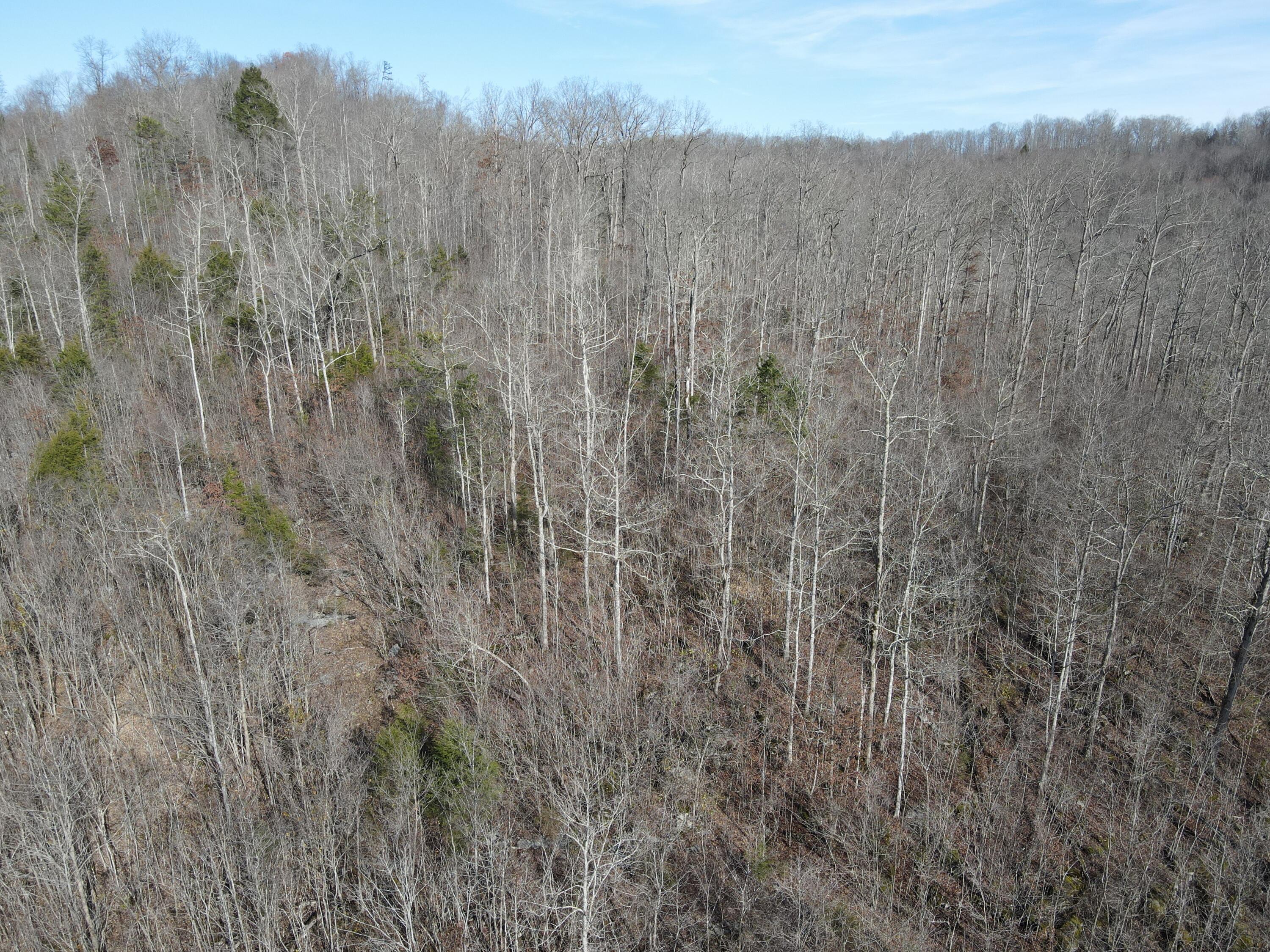 999 Mullins Station Road Livingston, KY 40445 - Photo 14 of 26 DJI_0485