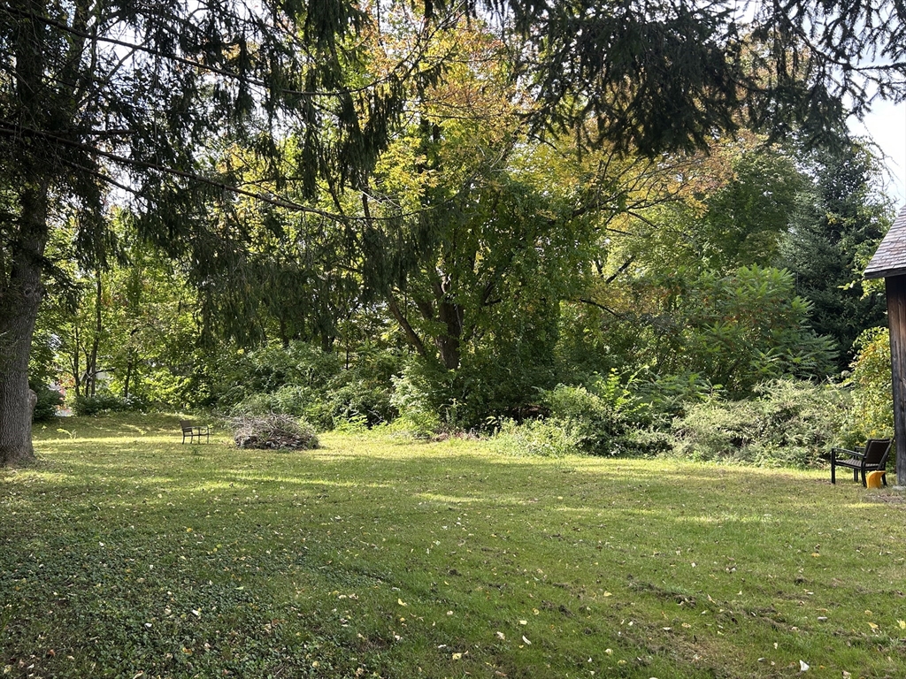 11 Maple Street Chester, MA 01011 - Photo 5 of 28 a view of a grassy field with trees