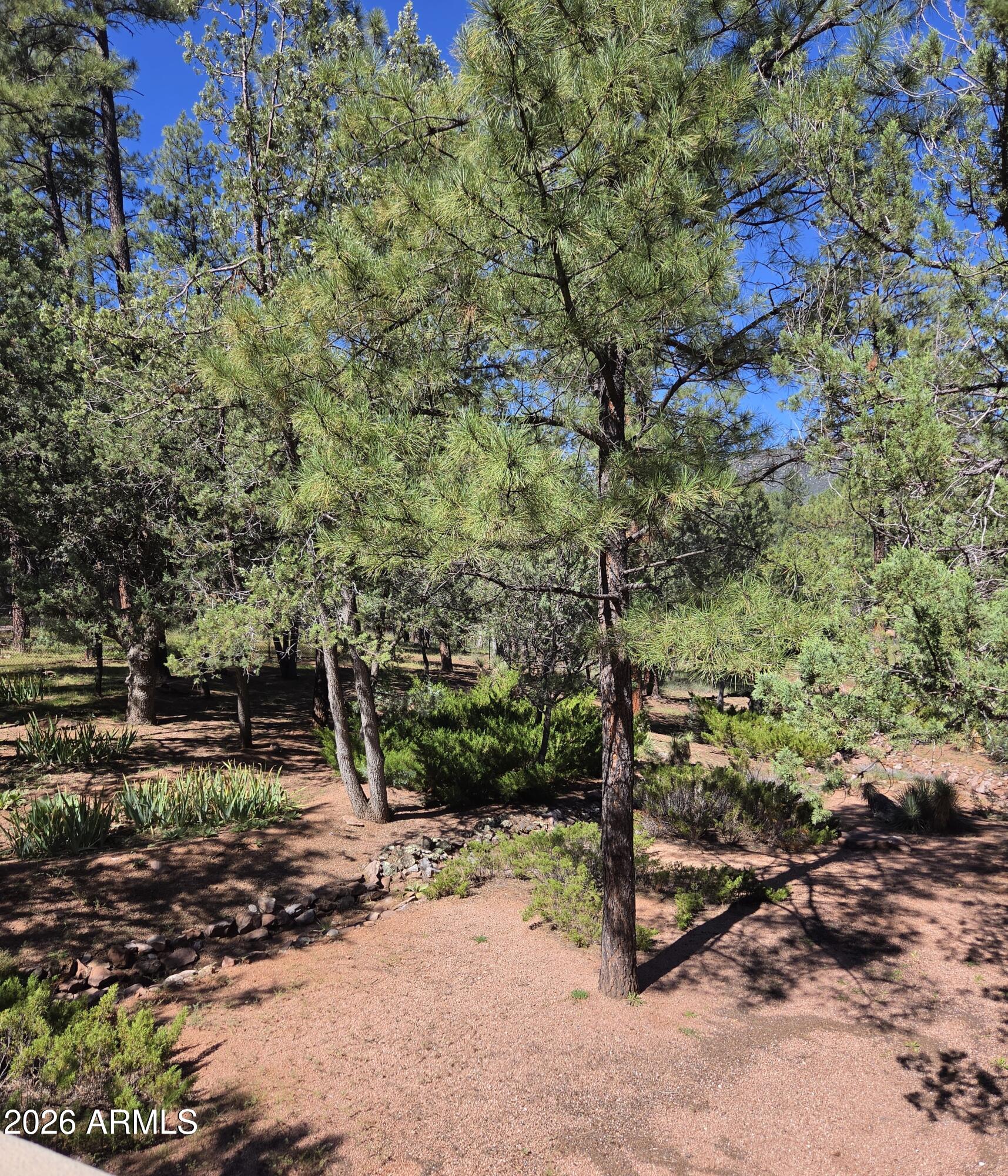 3638 North Whispering Pine Road Pine, AZ 85544 - Photo 29 of 32 Yardscape - 1