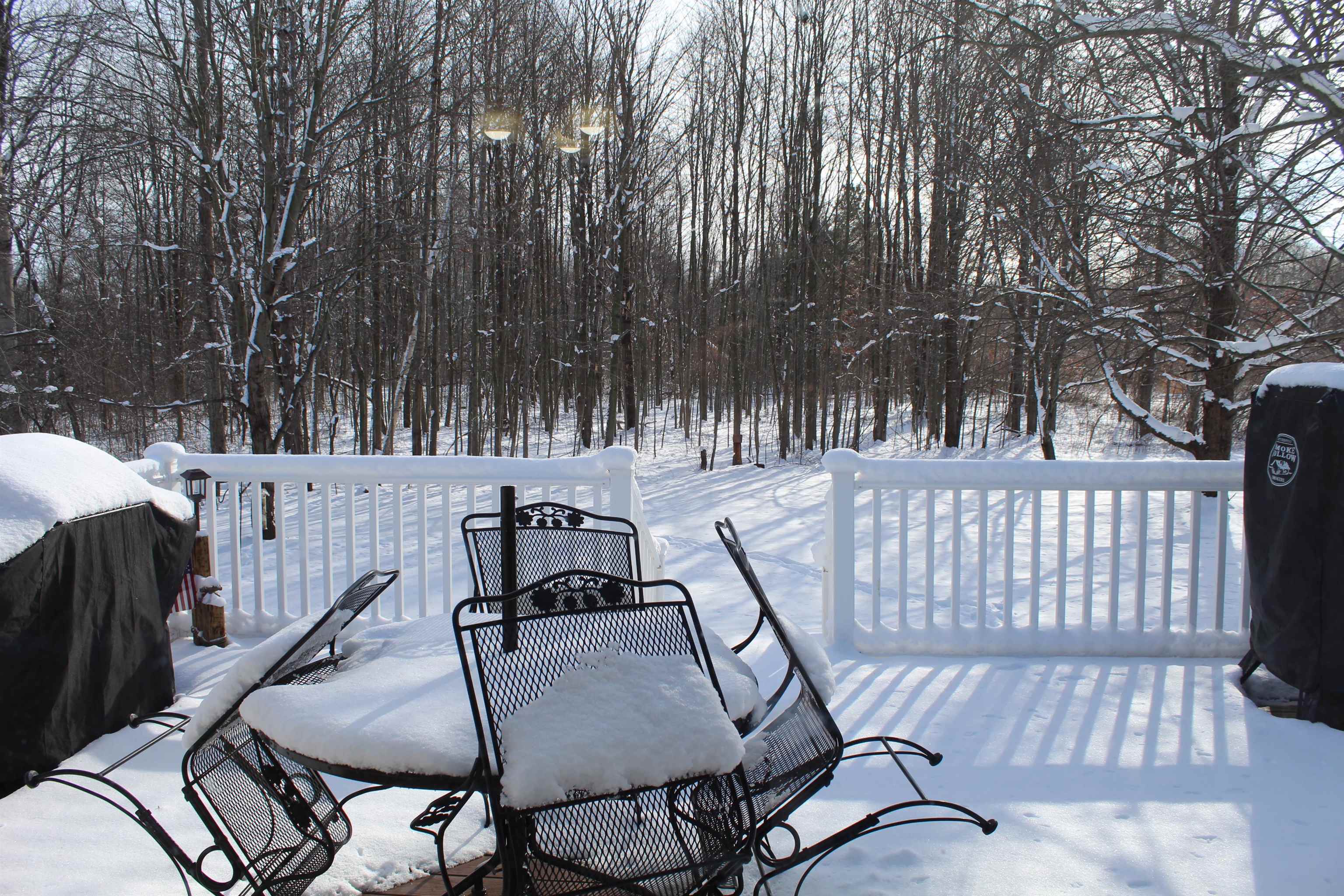 3157 Farrand Road Clio, MI 48420 - Photo 11 of 40 View from the Living Room