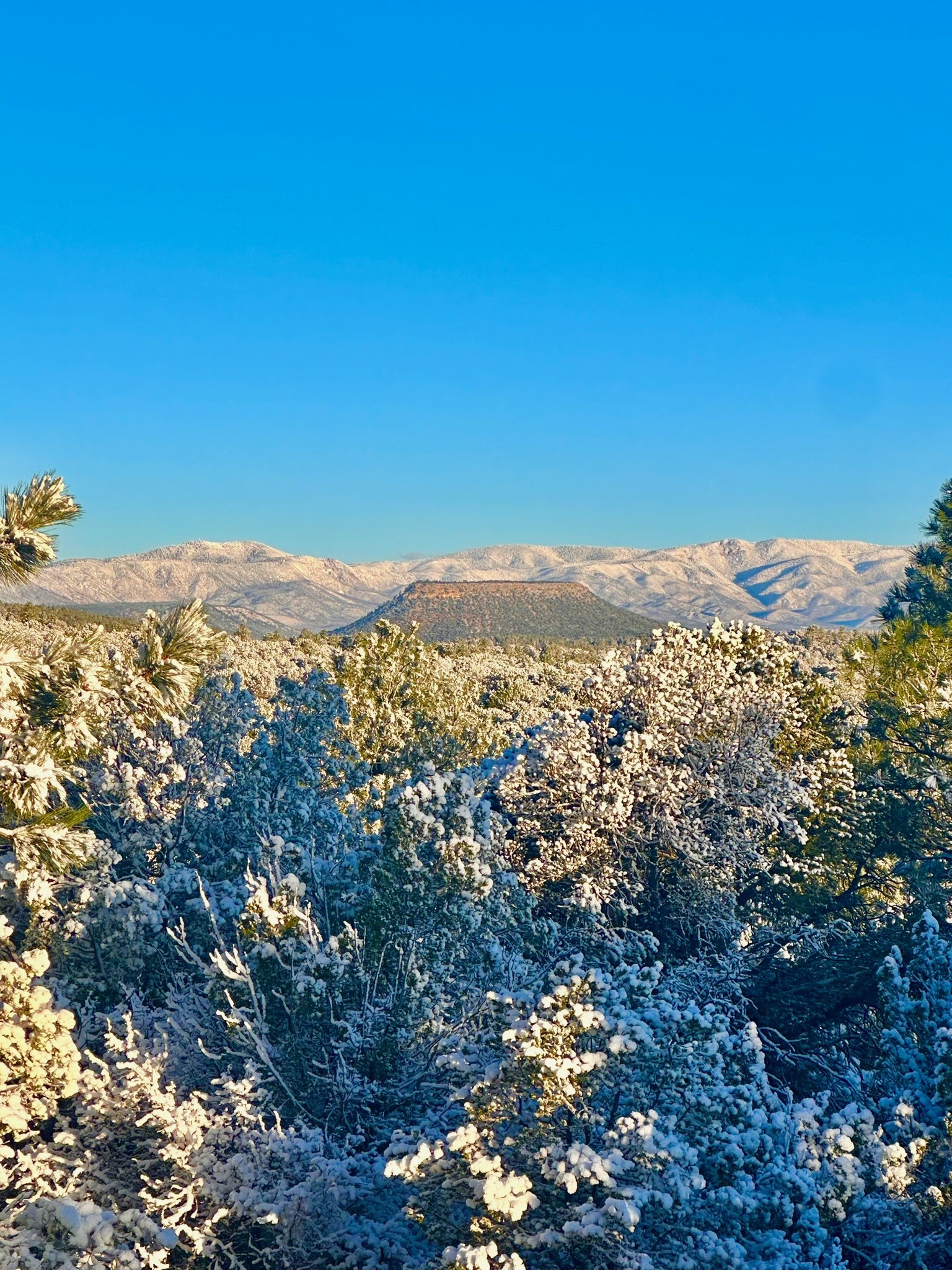 60 Blue Sky Road Las Vegas, NM 87701 - Photo 86 of 92