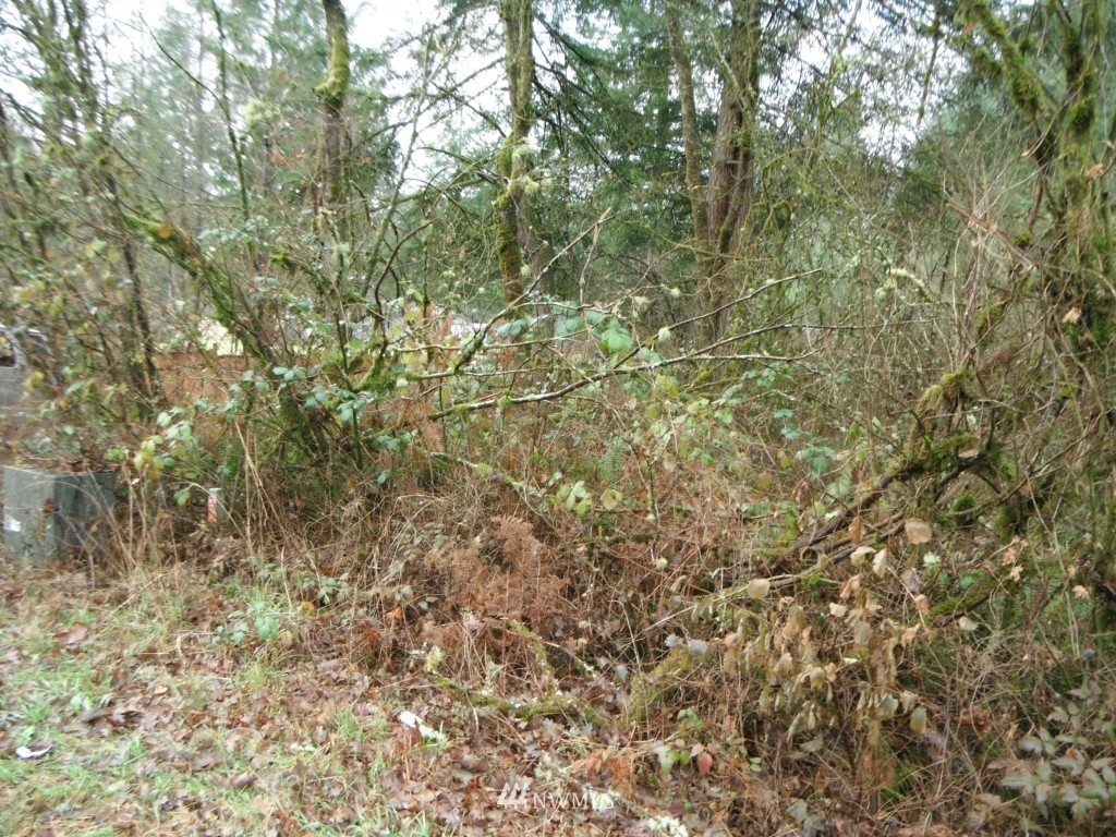 17035 Sargent Road Southwest Rochester, WA 98579 - Photo 2 of 13