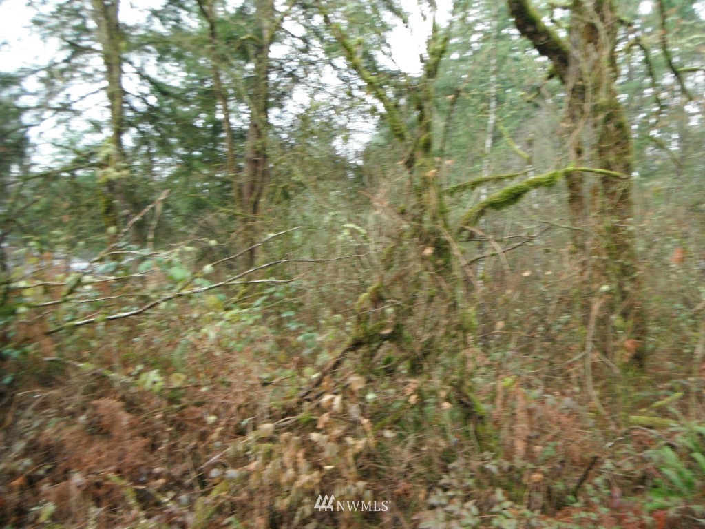 17035 Sargent Road Southwest Rochester, WA 98579 - Photo 11 of 13