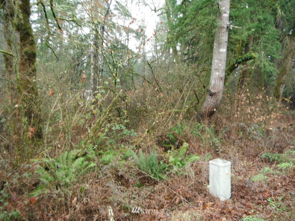 17035 Sargent Road Southwest Rochester, WA 98579 - Photo 13 of 13