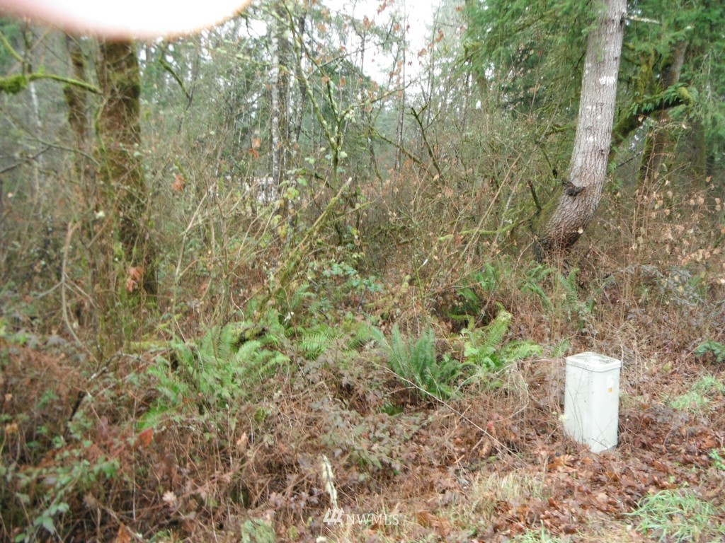 17035 Sargent Road Southwest Rochester, WA 98579 - Photo 4 of 13